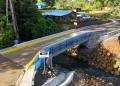 CNE y MOPT continúan atención de puentes en mal estado de la Zona Norte