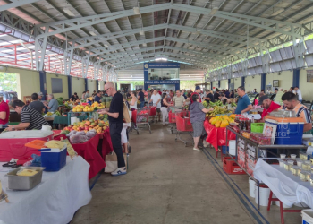 Vamos a la feria: apoye al productor nacional y coma rico en casa